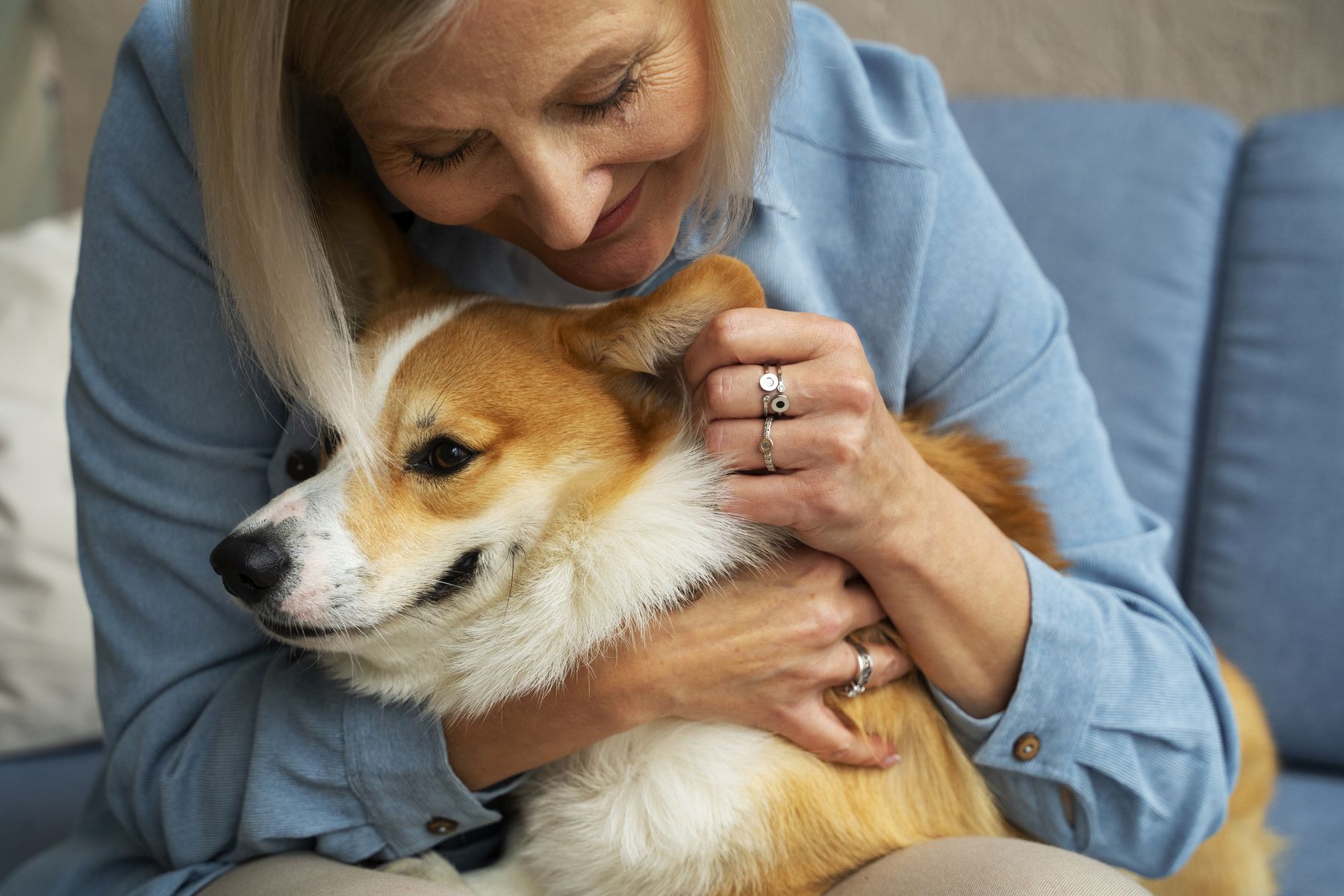 Sous quelles conditions pouvez-vous emmener votre animal en maison de retraite Règles à connaître et conseils pratiques