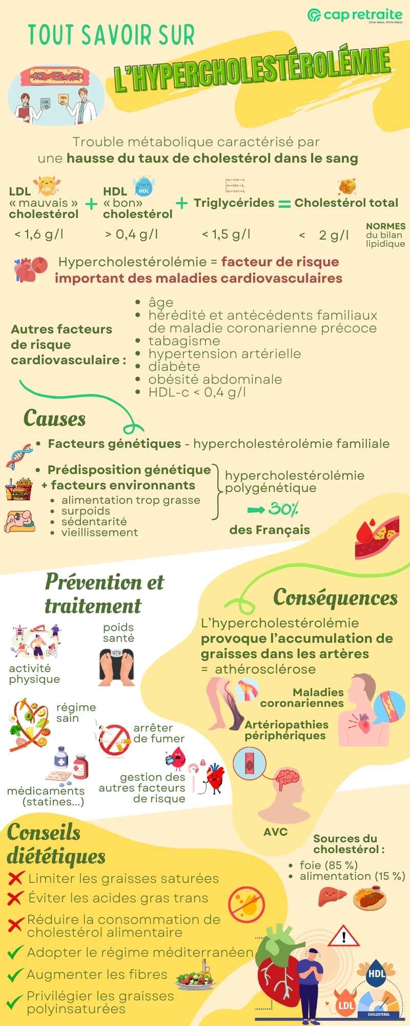 Infographie sur l'hypercholestérolémie, taux de cholestérol élevé dans le sang, notmes, causes et traitement